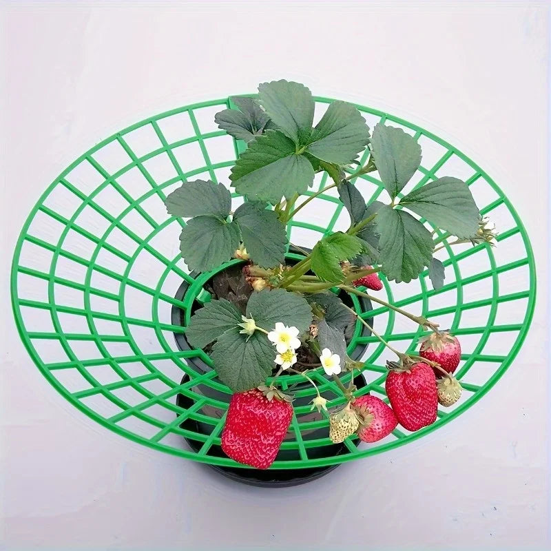 6/12pcs Green PVC Strawberry Support Cage for Vegetable Garden - 3-Legged Plant Protector, and Rot, Easy Assembly Oasis Select