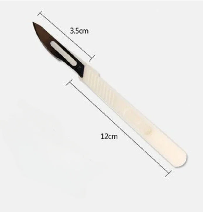 Practical Curved Bread Cutter Pastry Cutter Baking Tool Baking Accessories Kitchen Tool Oasis Select C