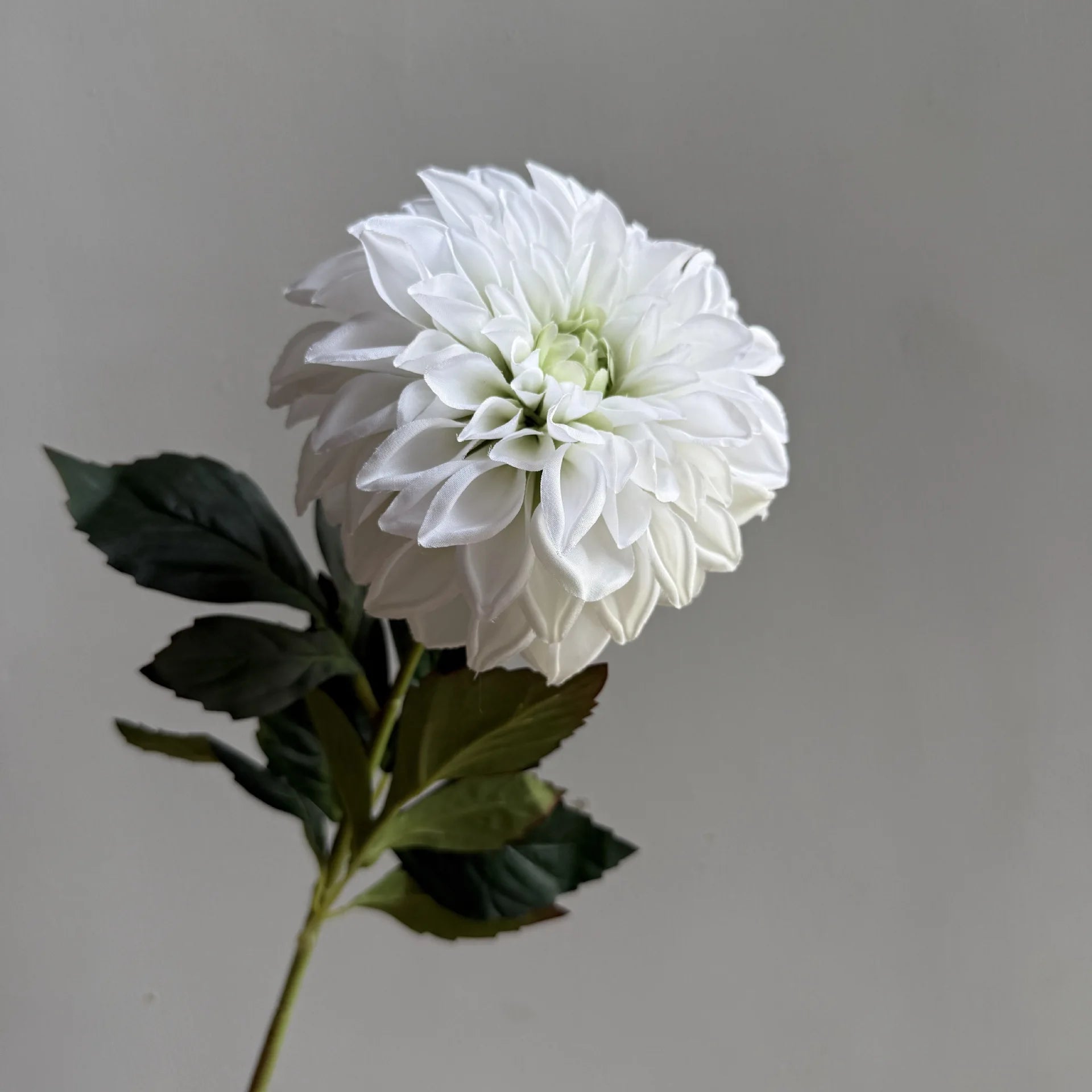 Lifelike artificial dahlia flower with 1 heads long branch silk flower for home wedding decor birthday party bedroom Decoration Oasis Select