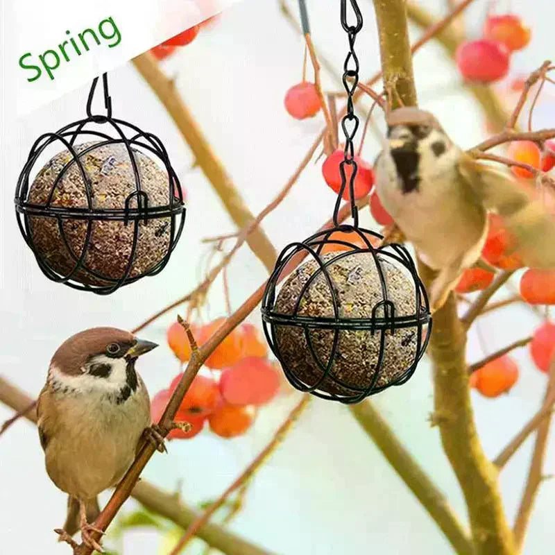 Metal Suet Ball Bird Feeder With Hanging Chain Squirrel Proof Outdoor Garden Birds Hummingbird Feeders Ball Shape Grass Feeder Oasis Select