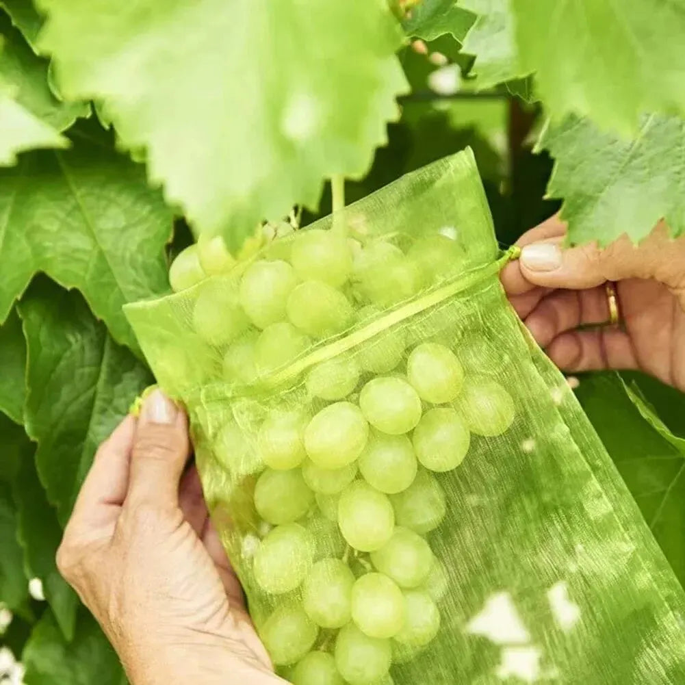 50pcs Fruit Protection Bags Anti-Bird Garden Netting Bags Strawberry Grapes Mesh Bag Plante Vegetable Netting Cover Garden Tool Oasis Select