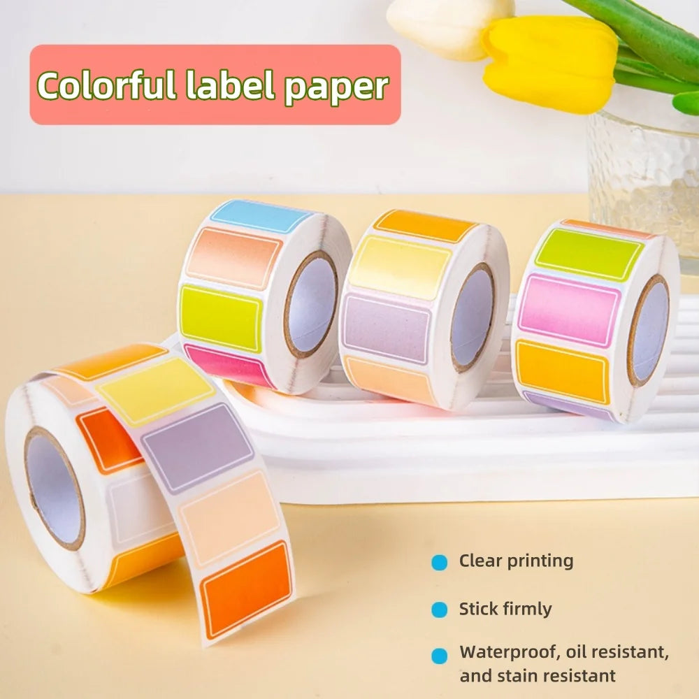 500 Waterproof Colored Labels Stickers Color-Coding Removable Labels Solid Colors Tags for Inventory Address File Classification Oasis Select
