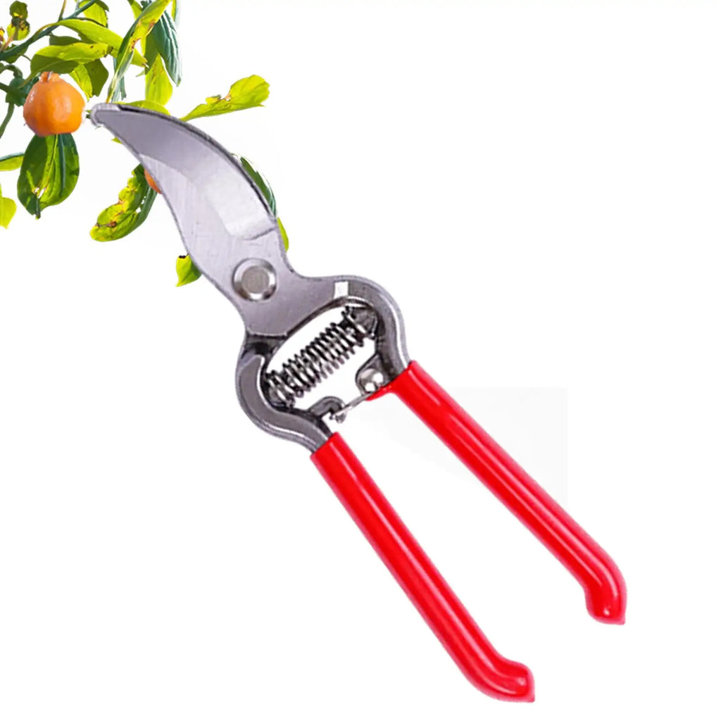 1PC Stainless Steel Gardening Shears Pruning branches Fruit trees Flowers Household Pruning Tools Garden hand Pruning Shears Oasis Select