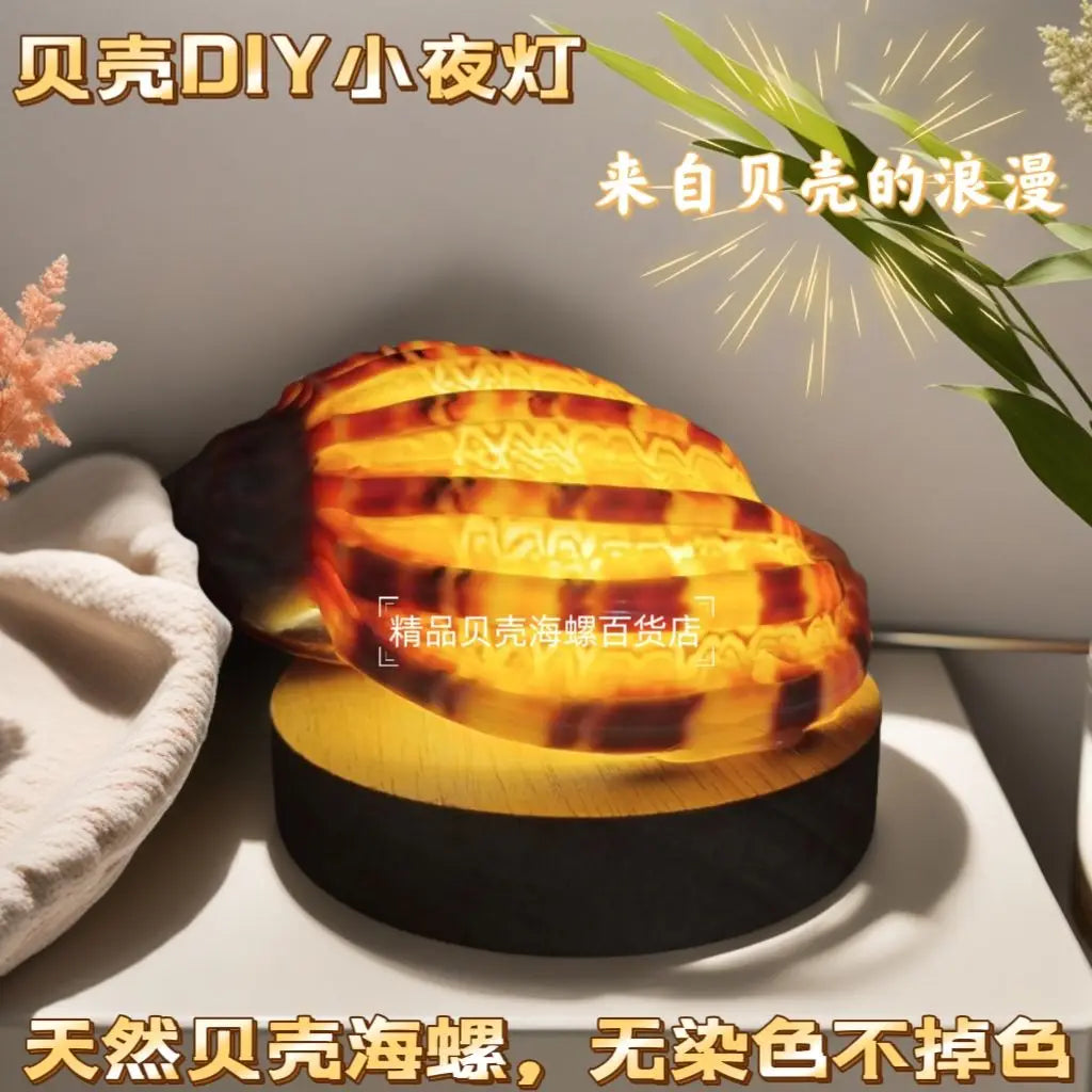 Natural Conch Sea Urchin Shell Mini Night Light Senior Children's Birthday Gift Creative Ornaments Oasis Select star fruit conch