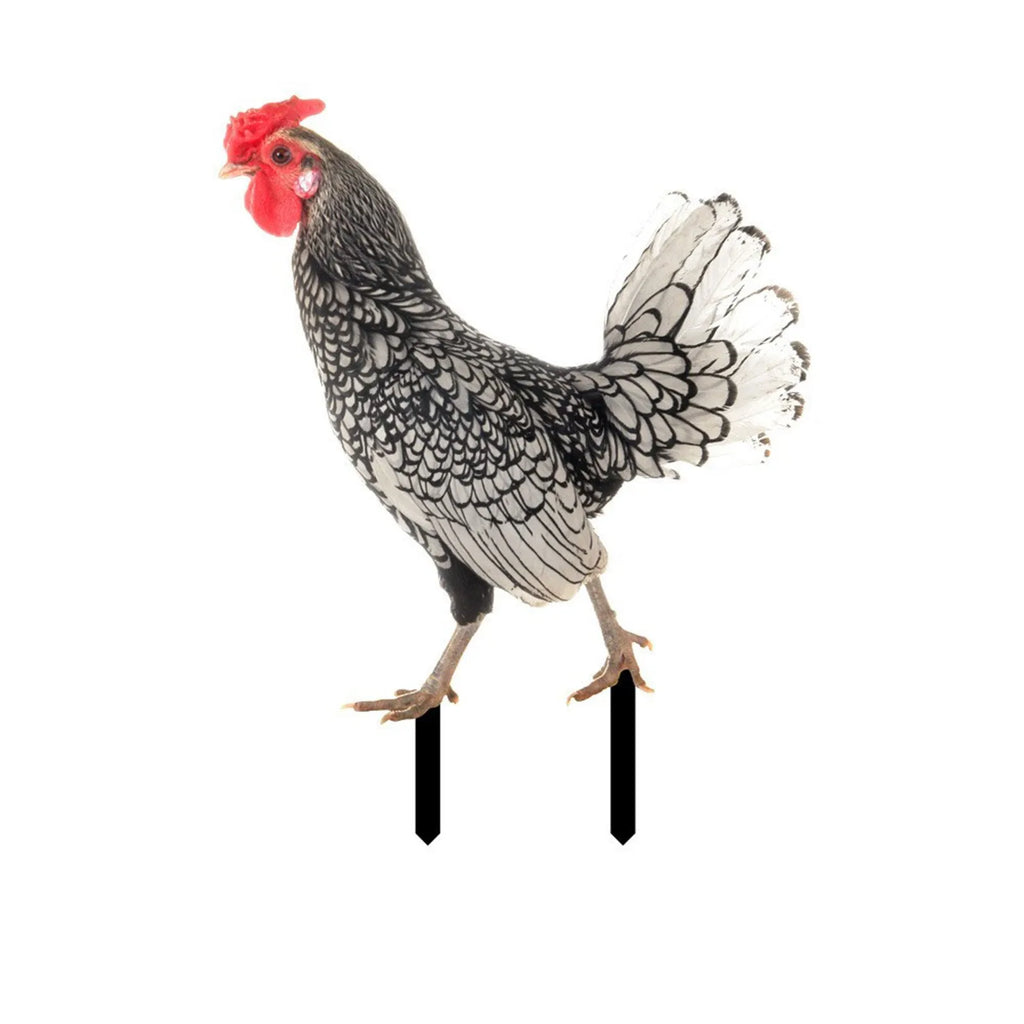 2D Flat Garden Statues Ornaments For Hen Chicken Decorations Sculptures Yard Art Outdoor Decorations Rooster Statue Art Deco Oasis Select 1PC 4 One Size