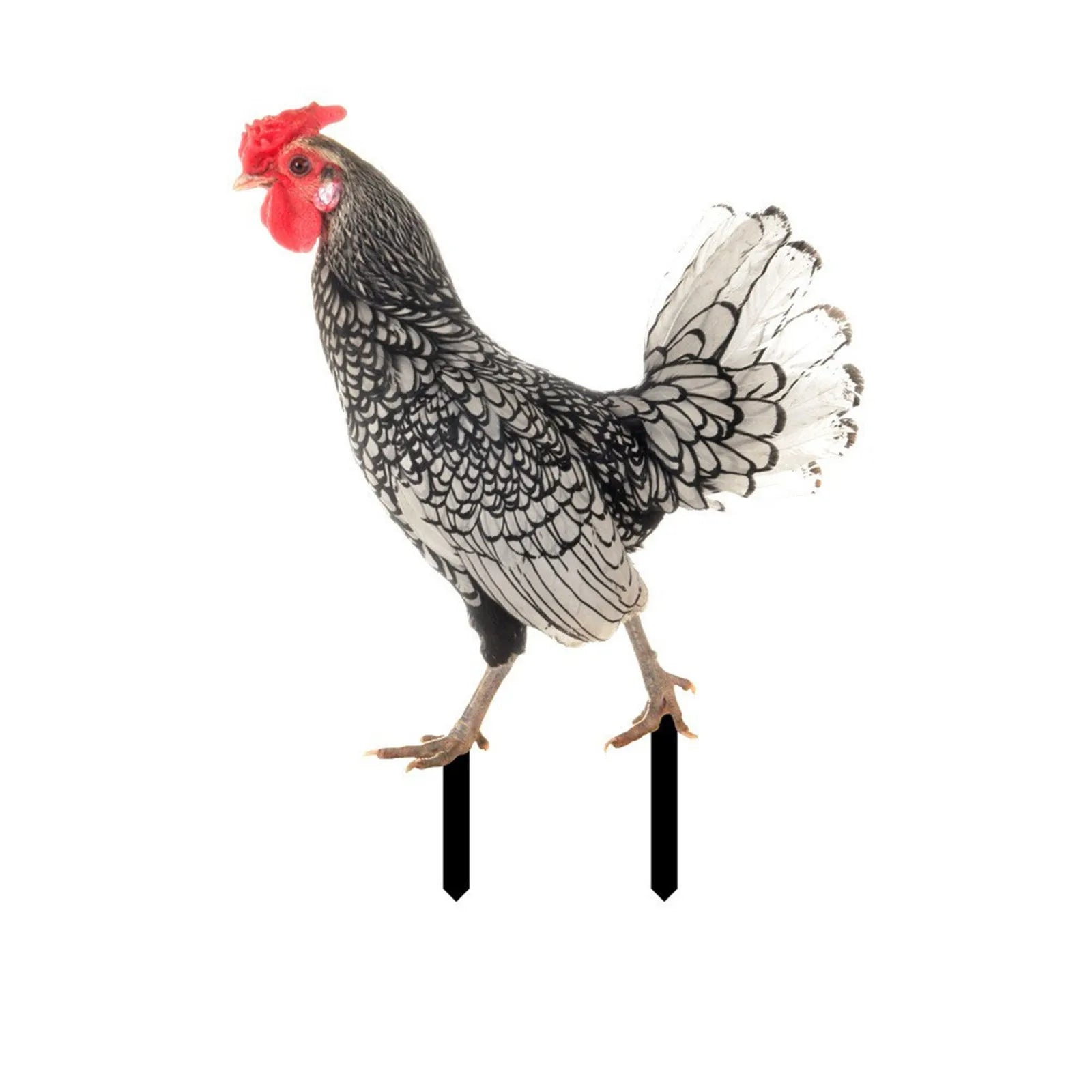 2D Flat Garden Statues Ornaments For Hen Chicken Decorations Sculptures Yard Art Outdoor Decorations Rooster Statue Art Deco Oasis Select 1PC 4 One Size