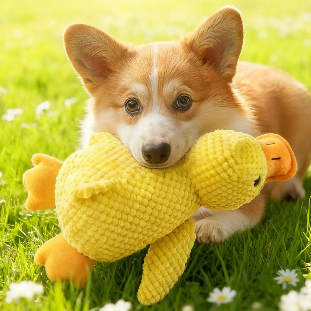 Yellow Duck Dog Toy Interactive Squeaky Soft Comfort Pet Accessory Dog Toys Plush for Travel Beach Pool Park Yard Bedroom Garden Oasis Select