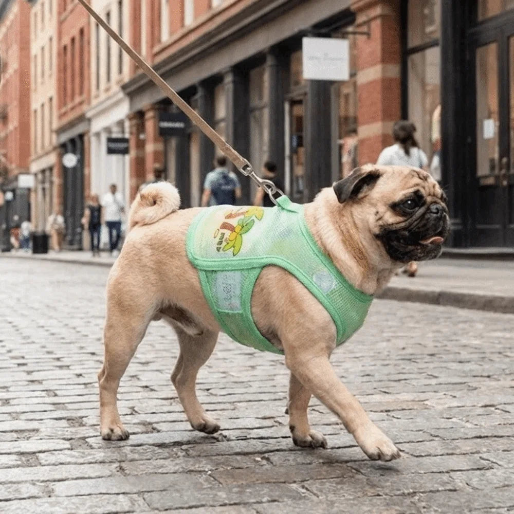 Striped Mesh Pet Cooling Vest Thin Breathable Breathable Dog Ice Silk T-shirt Cartoon Bear Pattern Lightweight Cooling Jacket Oasis Select