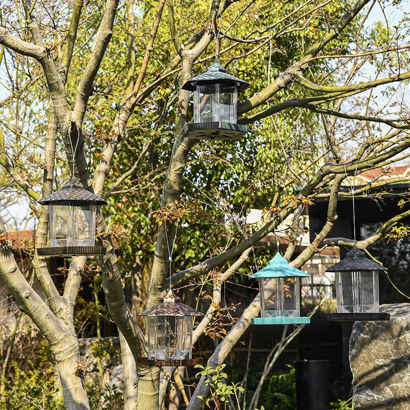 Outdoor Hanging Bird Feeder Best-Selling Bird Feeder for Garden & Backyard Easy to Fill & Clean Attracts Wild Birds Year-Round Oasis Select