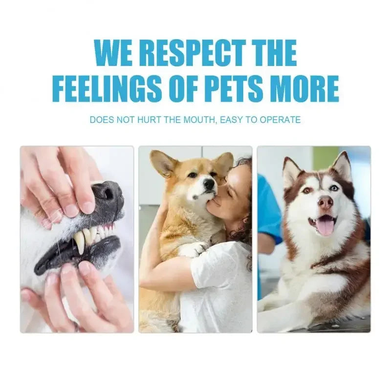 Pet Toothpaste for Dogs & Cats – Fresh Breath & Teeth Cleaning