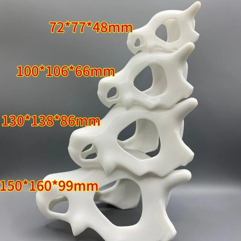 Fish Tank Oranament Aquarium Decor 3D Printed Anime Style Skull Reptile Hideouts for Terrarium Habitat 100% Safe Home Decoration Oasis Select