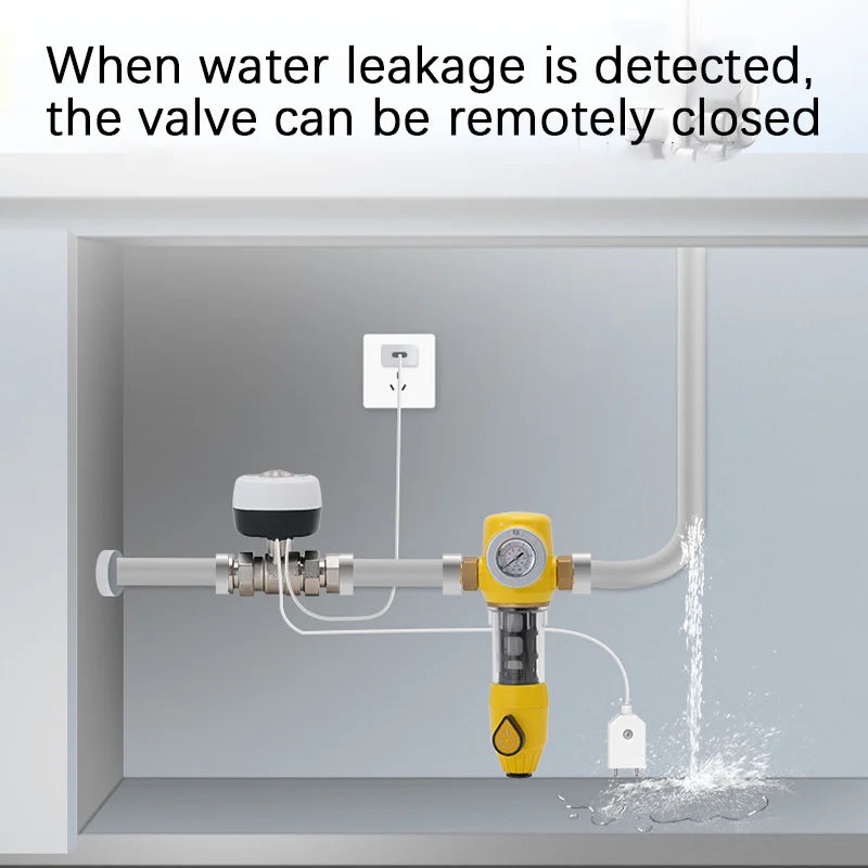 eWelink APP WiFi Smart Valve Water Gas Shutoff Automated Ball Valve DN15/DN20/DN25 Wireless Control For Alexa Google Alice Oasis Select