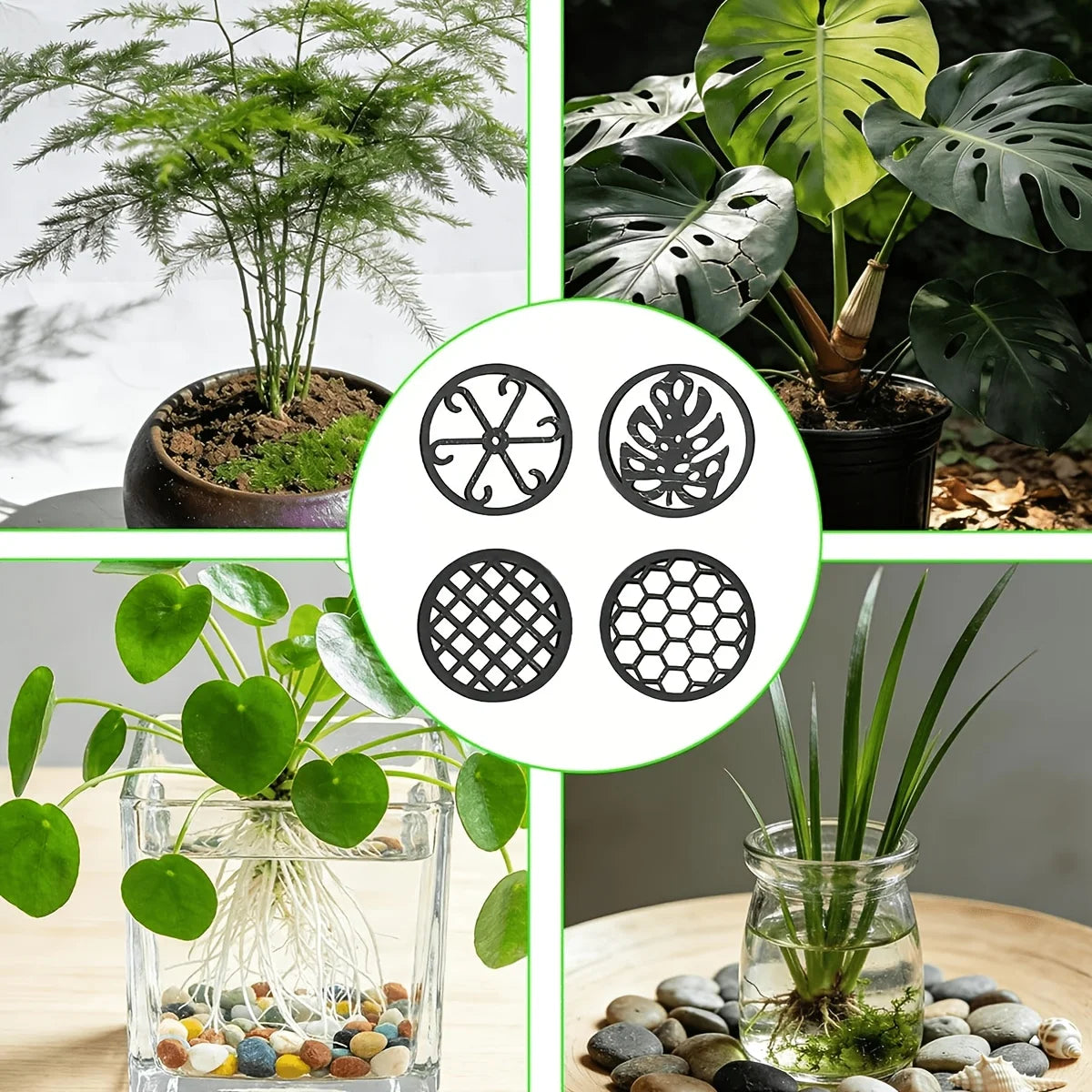 Different Shapes, Gardening Branch Organizing Ties for Vegetation Decoration, Flower Care And Garden Arrangement Tools Oasis Select