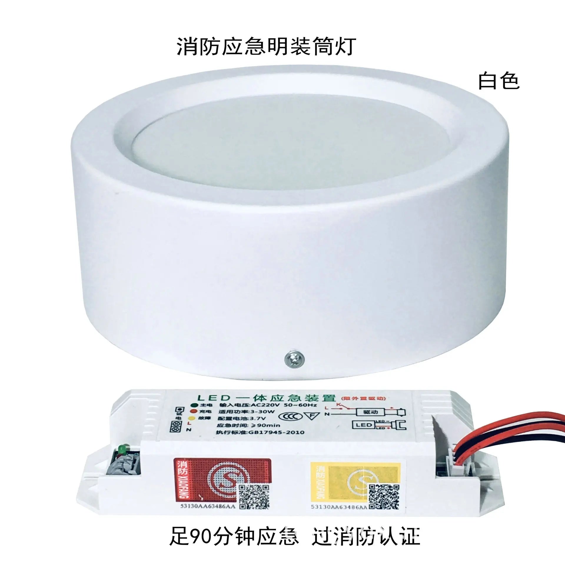 LED Emergency Light, Smart Lamp, Surface Mounted, Downlight, Lighting, Dual Surface, 5Inch, 12W Oasis Select 12W White