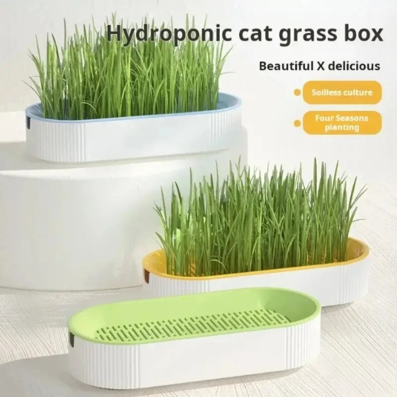 1pcs Pet Supplies Cat Snacks Catnip Planting Hydroponic Box Catgrass Basin Hydroponic Catgrass Box Set Oasis Select