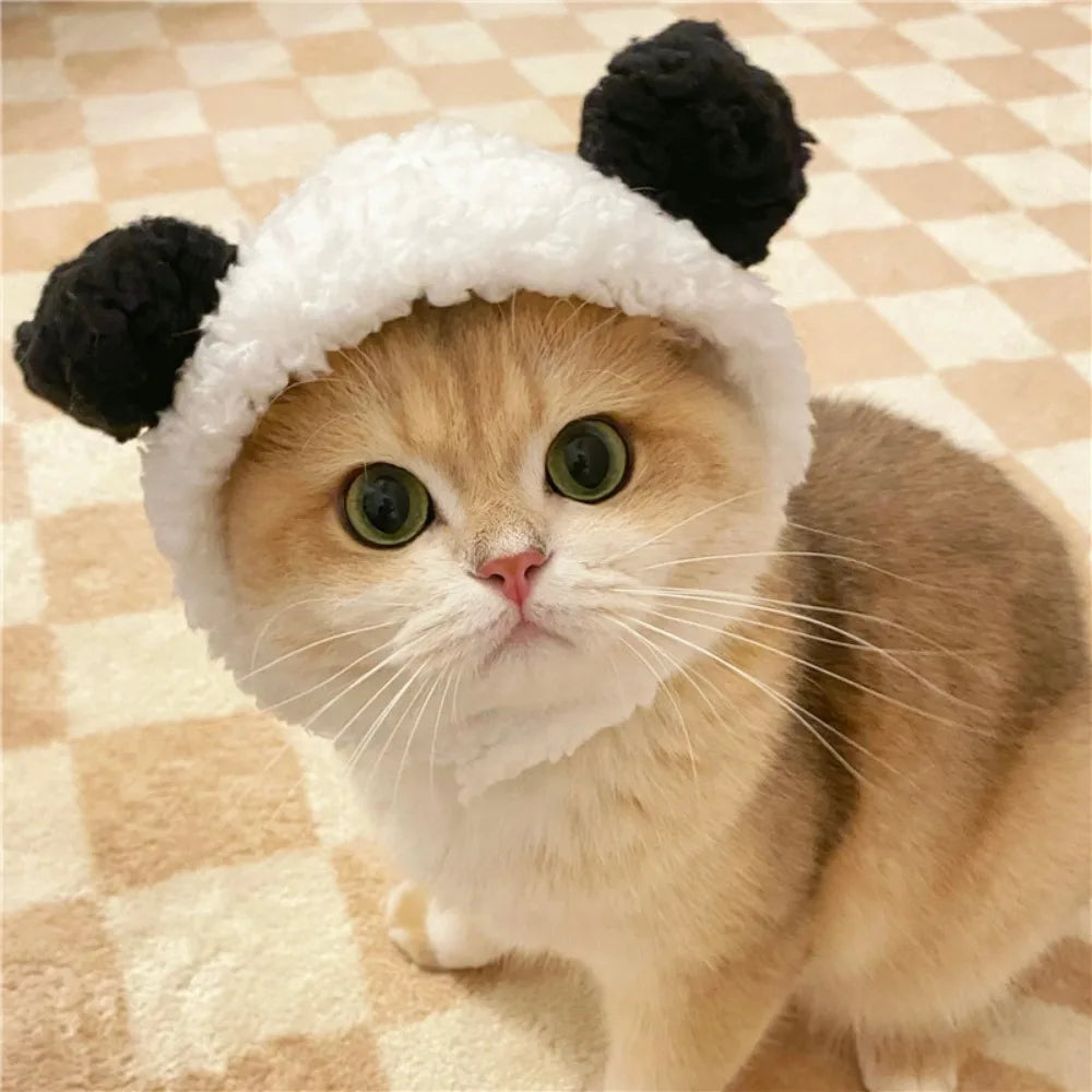 Internet Celebrity Pet Cat Lion Head Rabbit Ears Frog Bear Pet Hat Funny Headwear Oasis Select