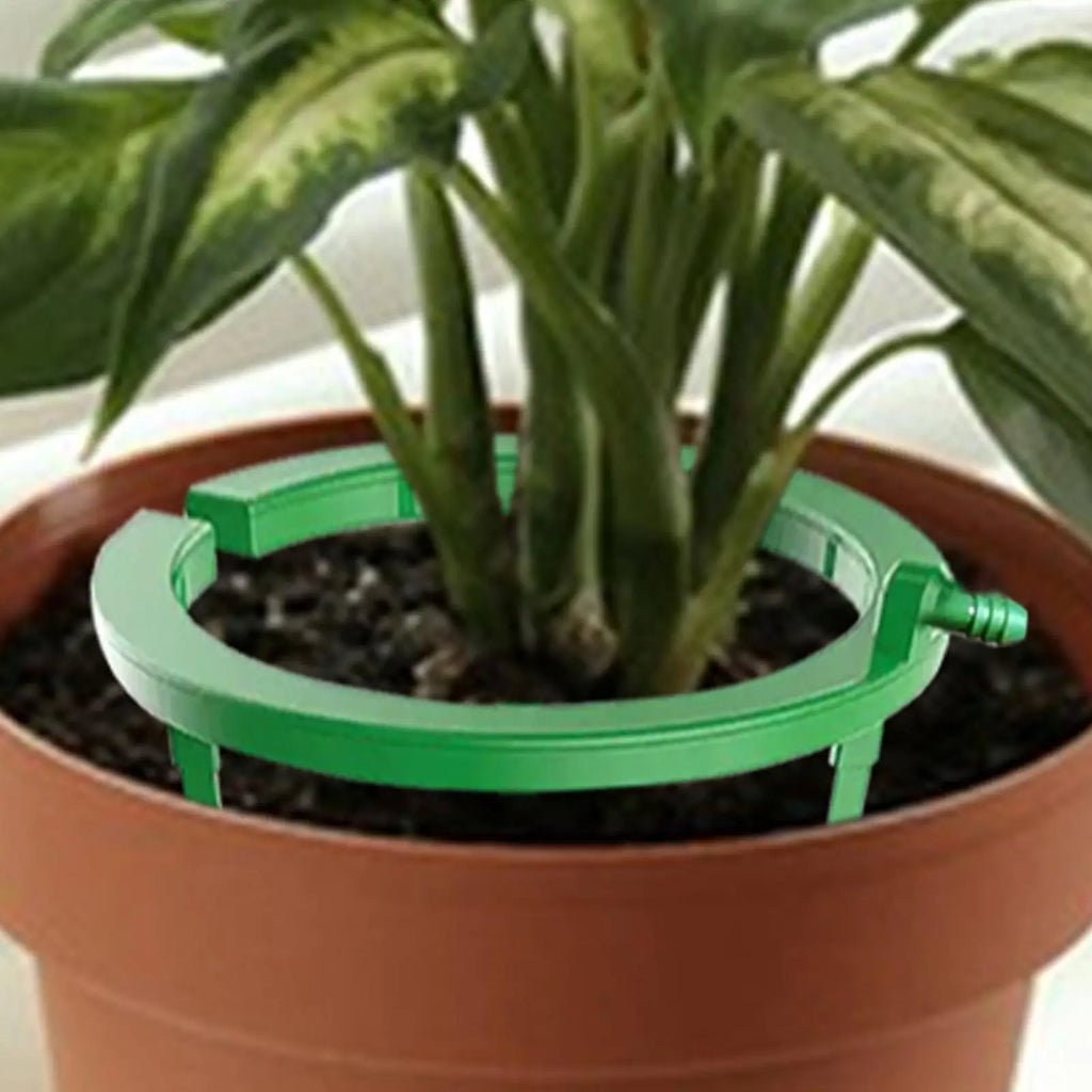 Plant Drip System Water Rings For Plants Plant Drip Loop With Support Automatic Drip Irrigation Kits For Indoor Lawn Garden Oasis Select