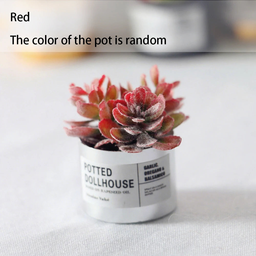 Mini Plastic Succulent Pots Small Succulent Pots Funny Plant Pots Doll House Decor Fairy Garden Micro Landscape Desk Accessories Oasis Select Red