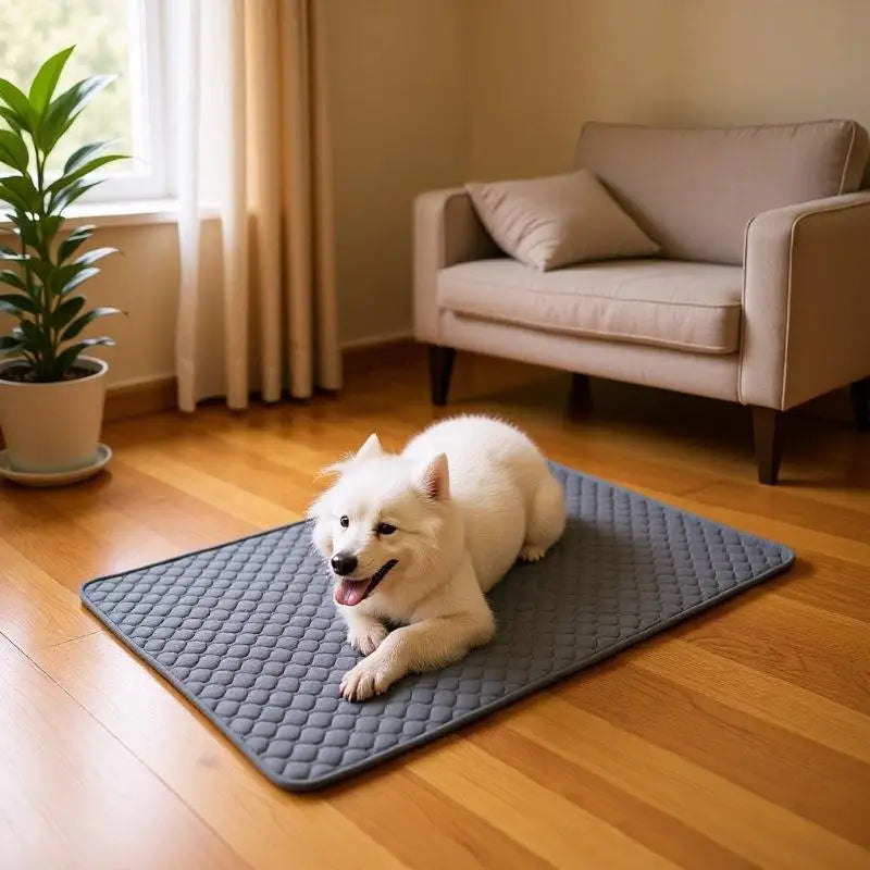 Washable Dog Pee Pad Reusable Waterproof Pet Training Mat Non Slip Absorbent Dog Bed Mat For Puppy Cat Small Medium Large Dogs Oasis Select