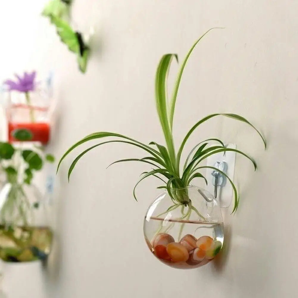 Wall Mounted Acrylic Betta Fish Tank & Hydroponic Planter Wall Mounted Planter Oasis Select
