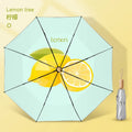 Sun Umbrella UV Protection Sunblock Double Sunshade Umbrella Both Rain and Shine Vinyl Umbrella Oasis Select 14