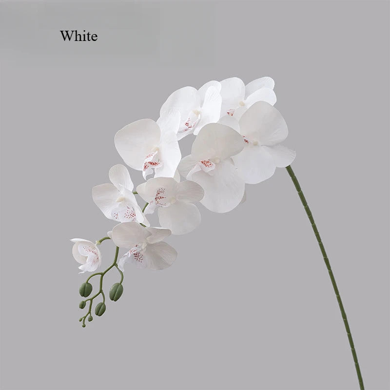 Real Touch Artificial Orchid Home Decor Wedding Decoration Oasis Select