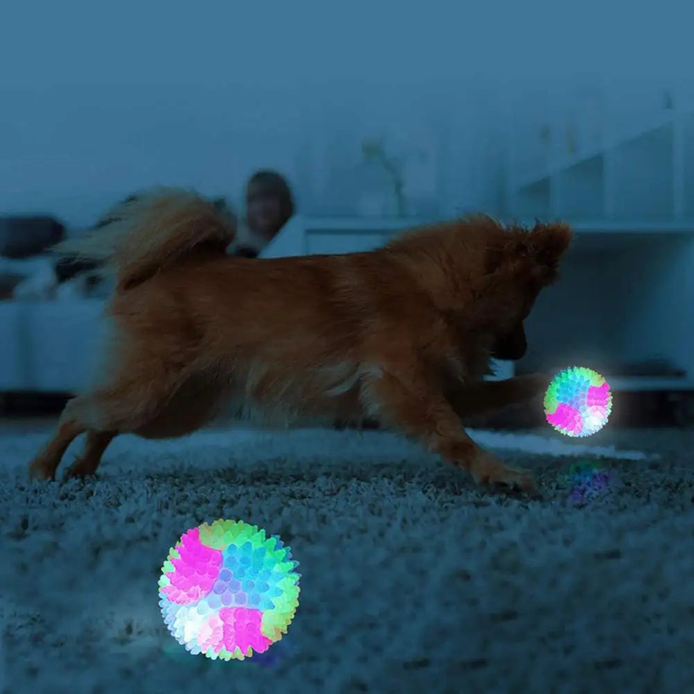 Pet Light Up Toy Ball Glowing LED Puppy Flashing Elastic Ball Toy Color Light TPR Ball Interactive Toys For Cats Dogs Oasis Select