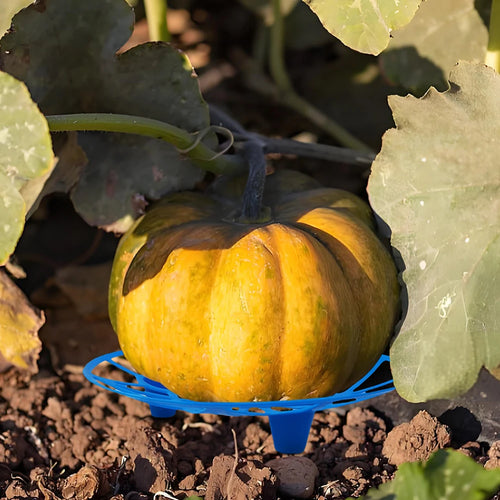 10Pcs Watermelon Cradle Anti-Corrosion Fruit Vegetables Plant Tray Watermelon Protective Holder for Melon Pumpkins Melons Squash Oasis Select