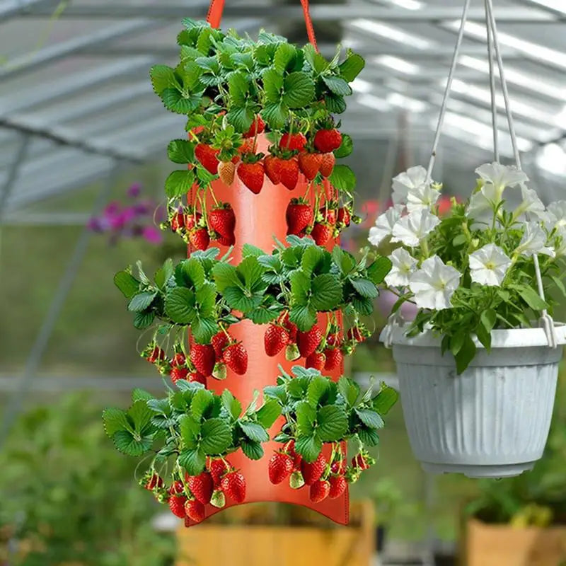 Tomato Planter Bag 8-Hole Hangable Fabric Pouch For Plant Aeration & Growth Gardening Bags For Tomatoes Roses Carrots Potatoes Oasis Select