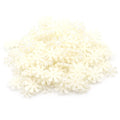 100pcs White Pearl Resin Snowflake Flatbacks Embellishments DIY Phone Christmas Decorations Scrapbooking Crafts 12mm Oasis Select Beige