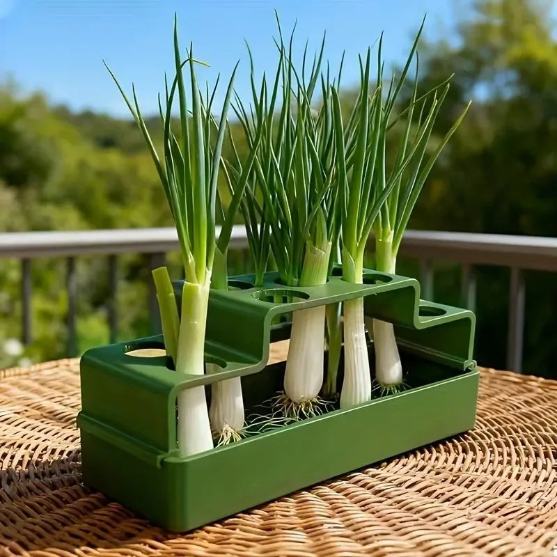 Indoor Hydroponic Planting Box Dedicated Green Onion Growing Device Soilless Cultivation Pot for Home Vegetable Planting Oasis Select