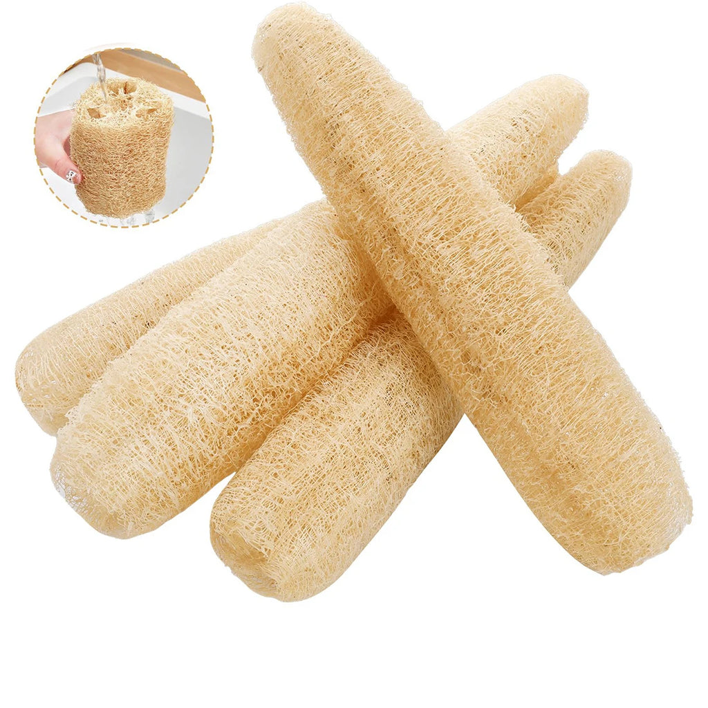 Natural Loofah Sponge – Organic Exfoliating Body Scrubber Exfoliating Body Scrubber Oasis Select