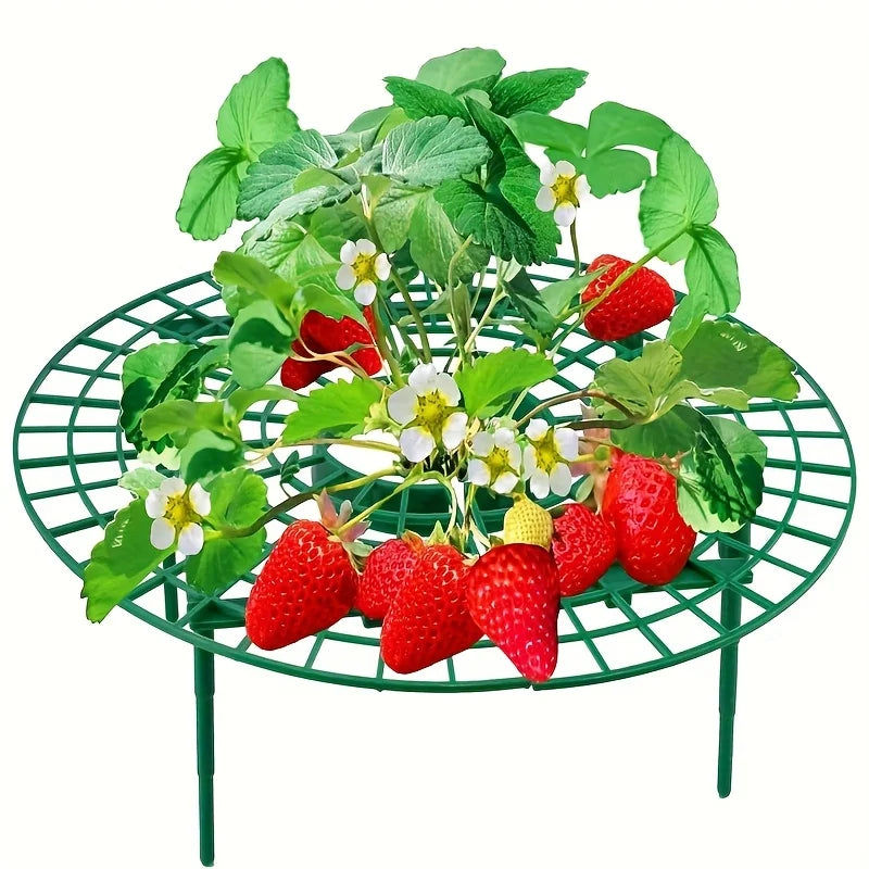 5/10pcs Green Strawberry Planting Rack with 3 Sturdy Stands Versatile Plant for Berries and Small Plants Plant Stand Oasis Select