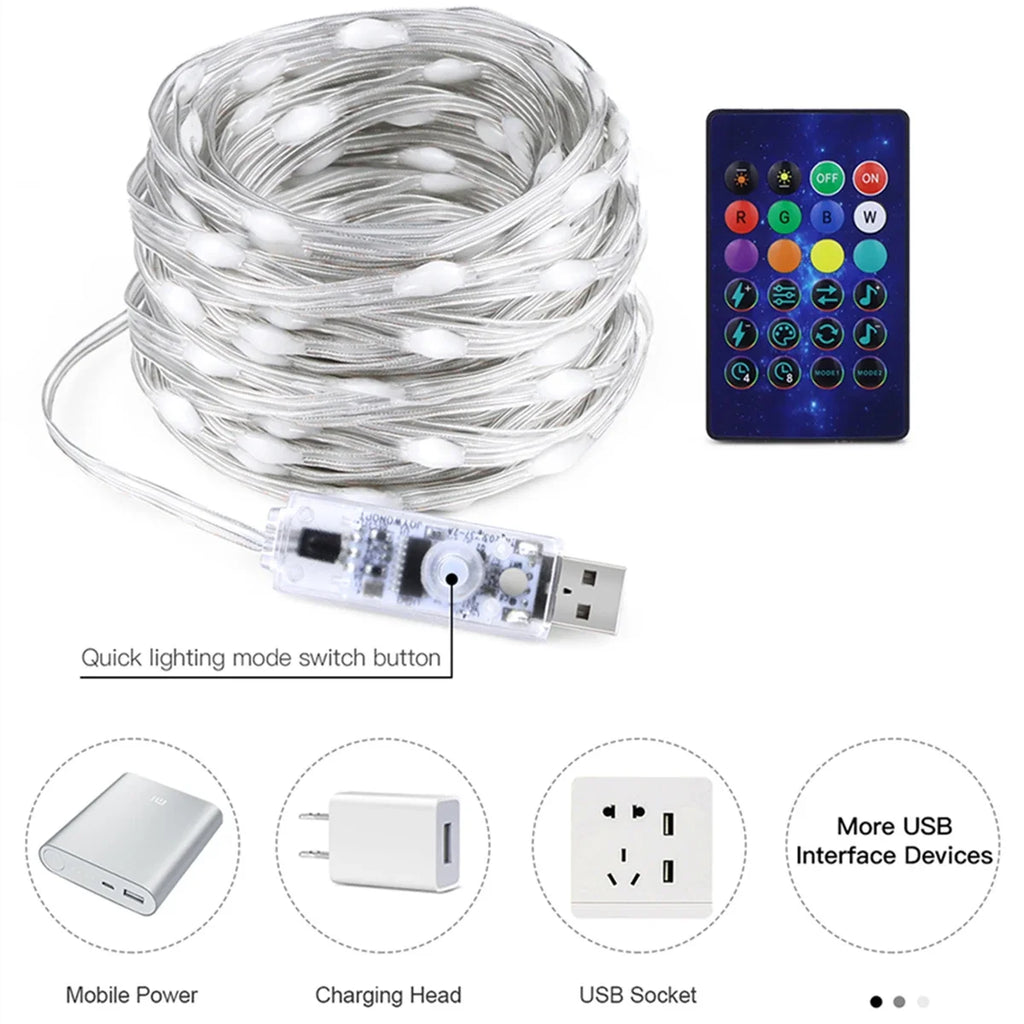 Dreamcolor WS2812B RGBIC Bluetooth APP Control LED String Lights DIY USB Lamp Fairy Garland for Party Festival Tree Wedding Deco Oasis Select