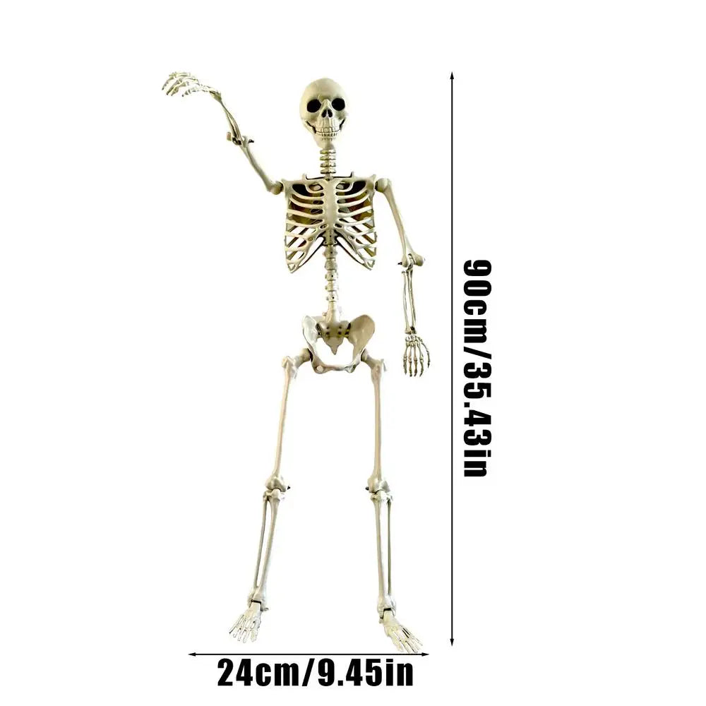 Halloween Skeleton 90cm Halloween Human Shape Posable Human Shape Bones Halloween Herror Decorations Haunted House Horror Props Oasis Select 90cm