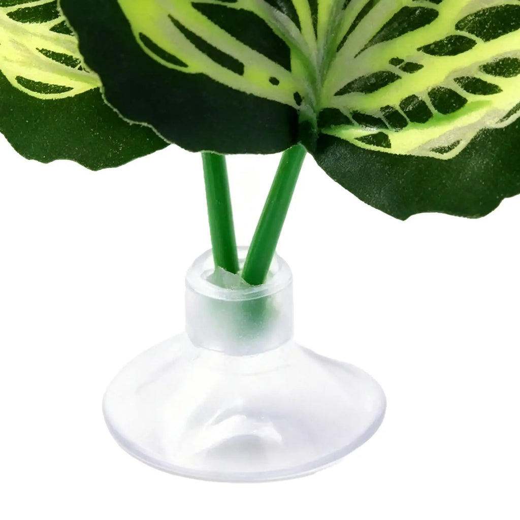 Betta Leaf Hammock Betta Fish Leaf Bed Resting Leaf Pad Natural Environment Fish Spawning Grounds Aquarium Fish tank decoration