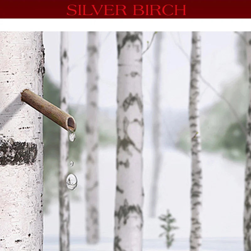 Birch Tree Extract Anti-Wrinkle Hydrating Toner 120ml