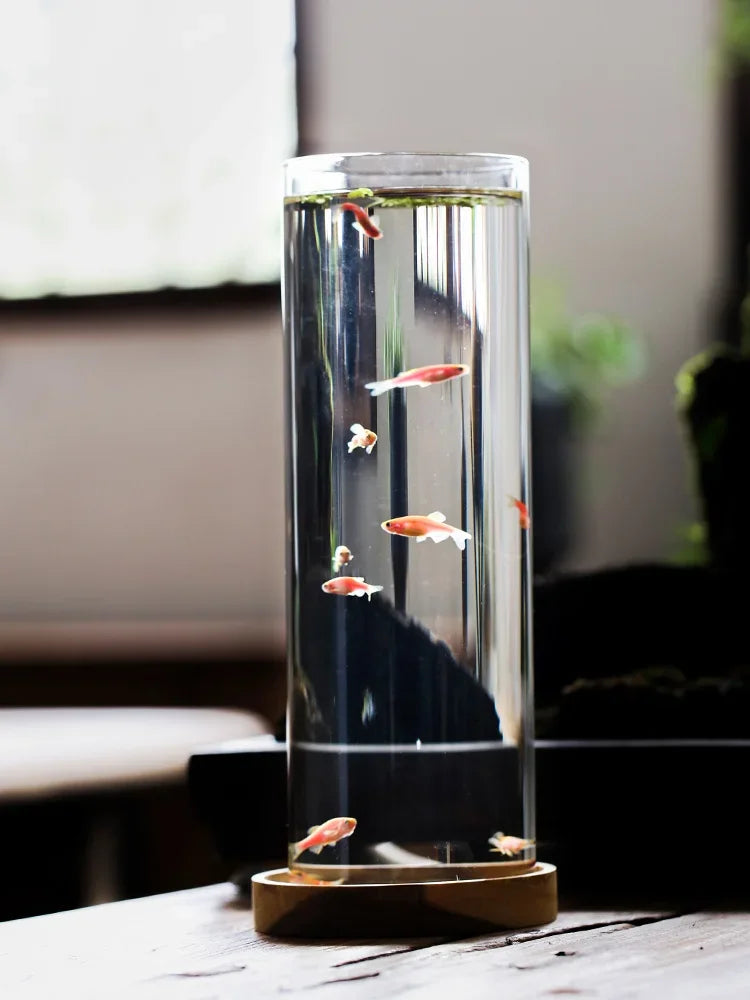 2L Micro Landscape Teahouse Tabletop Fish Tank Viewing Cylindrical Household Mini Miniature Glass Fish Tank Oasis Select