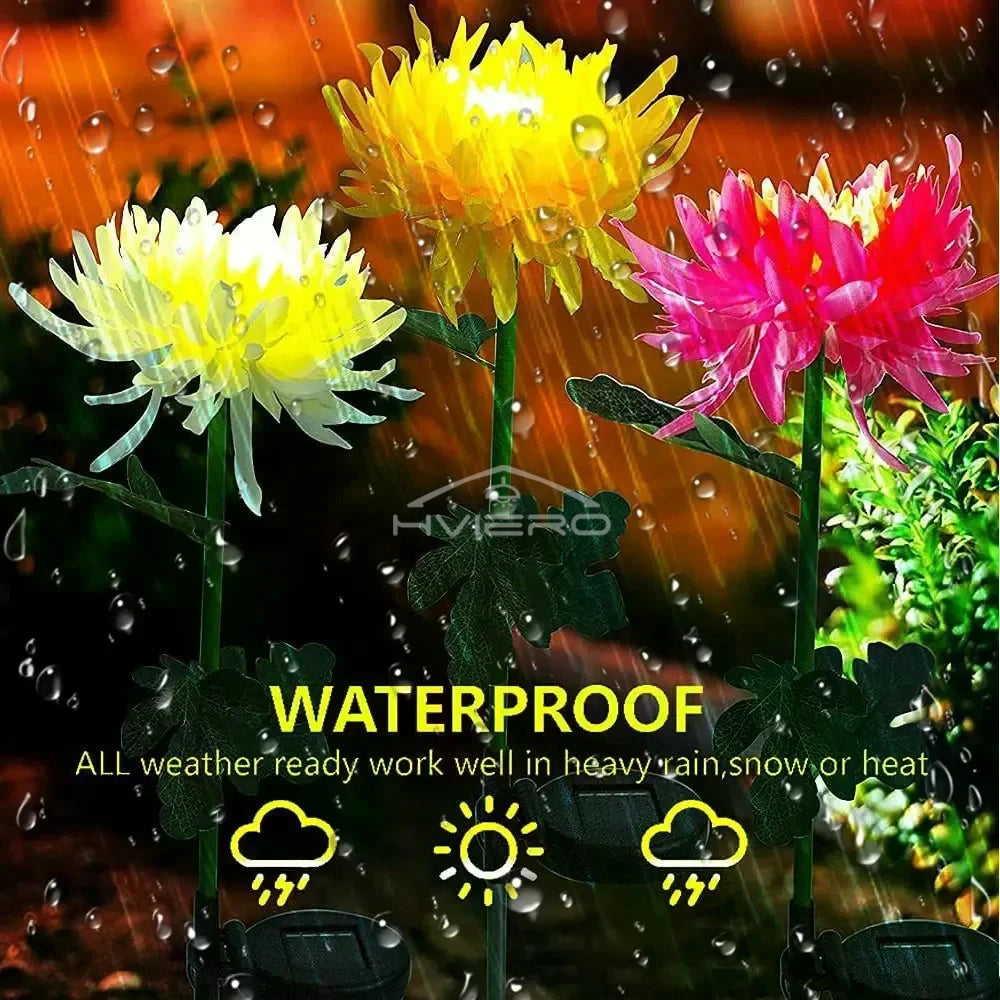 Solar Chrysanthemum LED Garden Stake Light | IP65 Waterproof