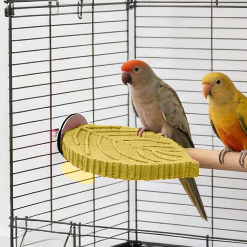 Cockatiel Perch Parrot Stand Toys Resin Bird Hamster Perch Platforms Stands Playground Bird Supplies Bird Cage Accessories Perch Oasis Select