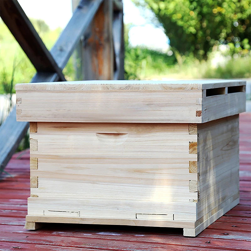 10Pcs Excellent DIY Accessories Yellow Honeycomb Foundation Bee Hive Wax Frames Beekeeping Equipment Sheet Oasis Select