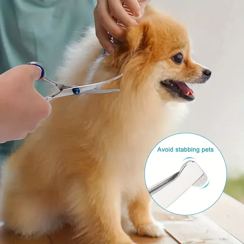 Ambidextrous Pet Safe Scissors Stainless Steel Dog Grooming Shears with round Head for Precision Trimming Oasis Select