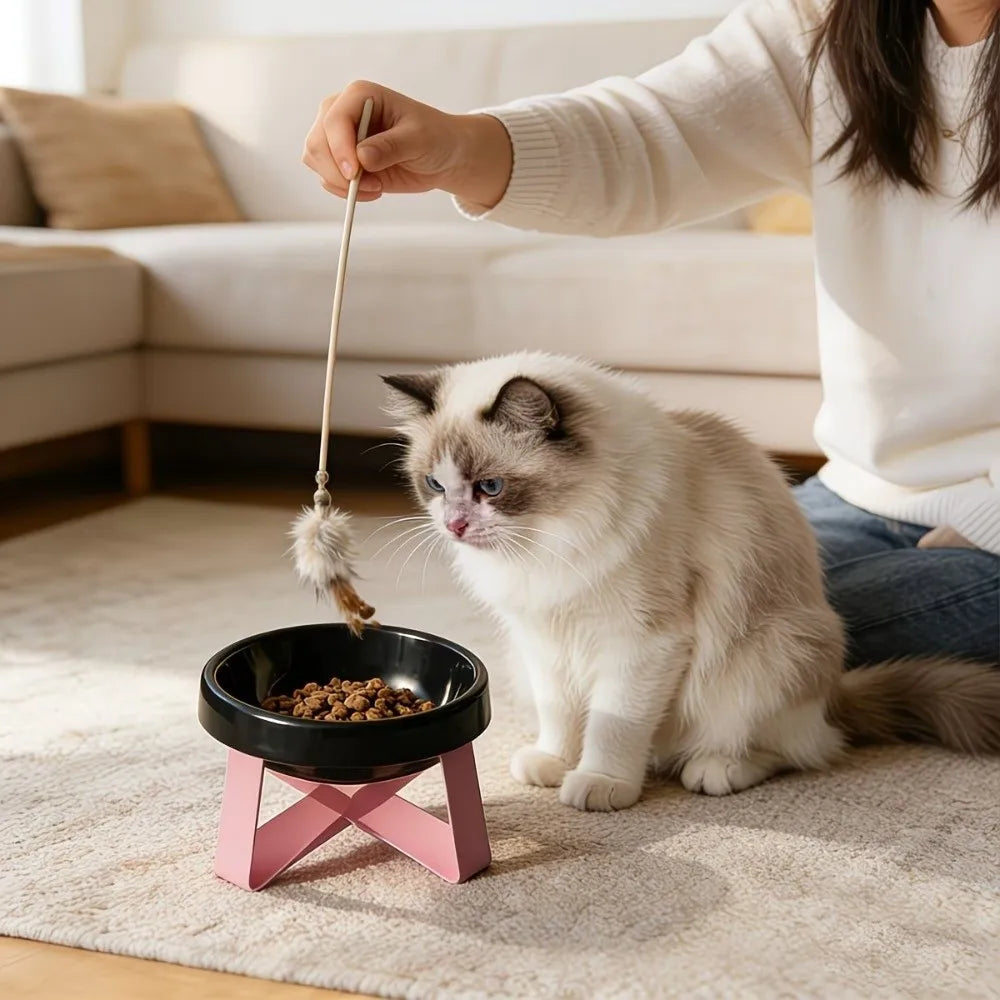 Elevated Cat Bowl – Anti-Spill Raised Pet Food Bowl