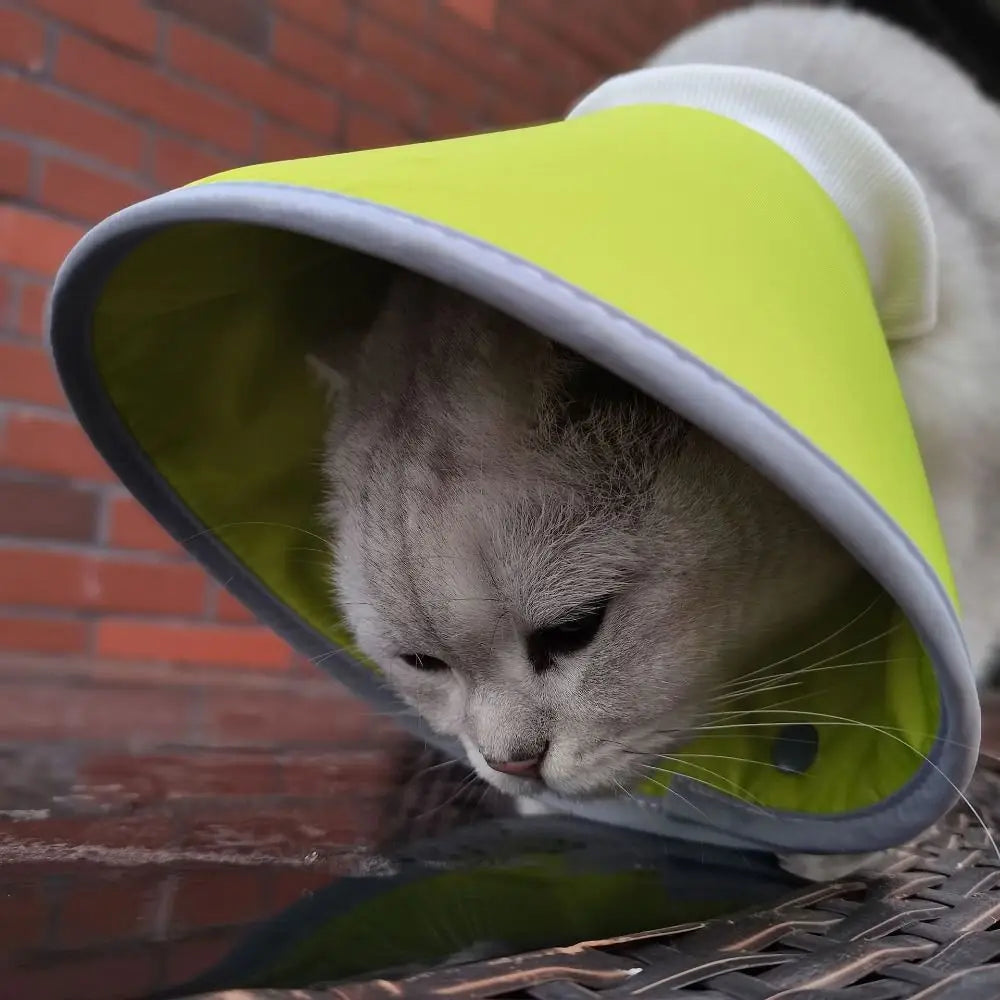 Adjustable Cat Cone Collar Lightweight Anti-bite Elizabethan Collars Breathable Easy To Eat and Drink Pet Protective Cover Oasis Select