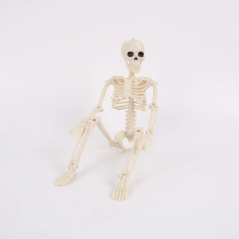 Halloween Skeleton 60cm Artificial Human Body Plastic Skeleton Decoration Haunted House Holiday Scene Layout Props Oasis Select 40cm