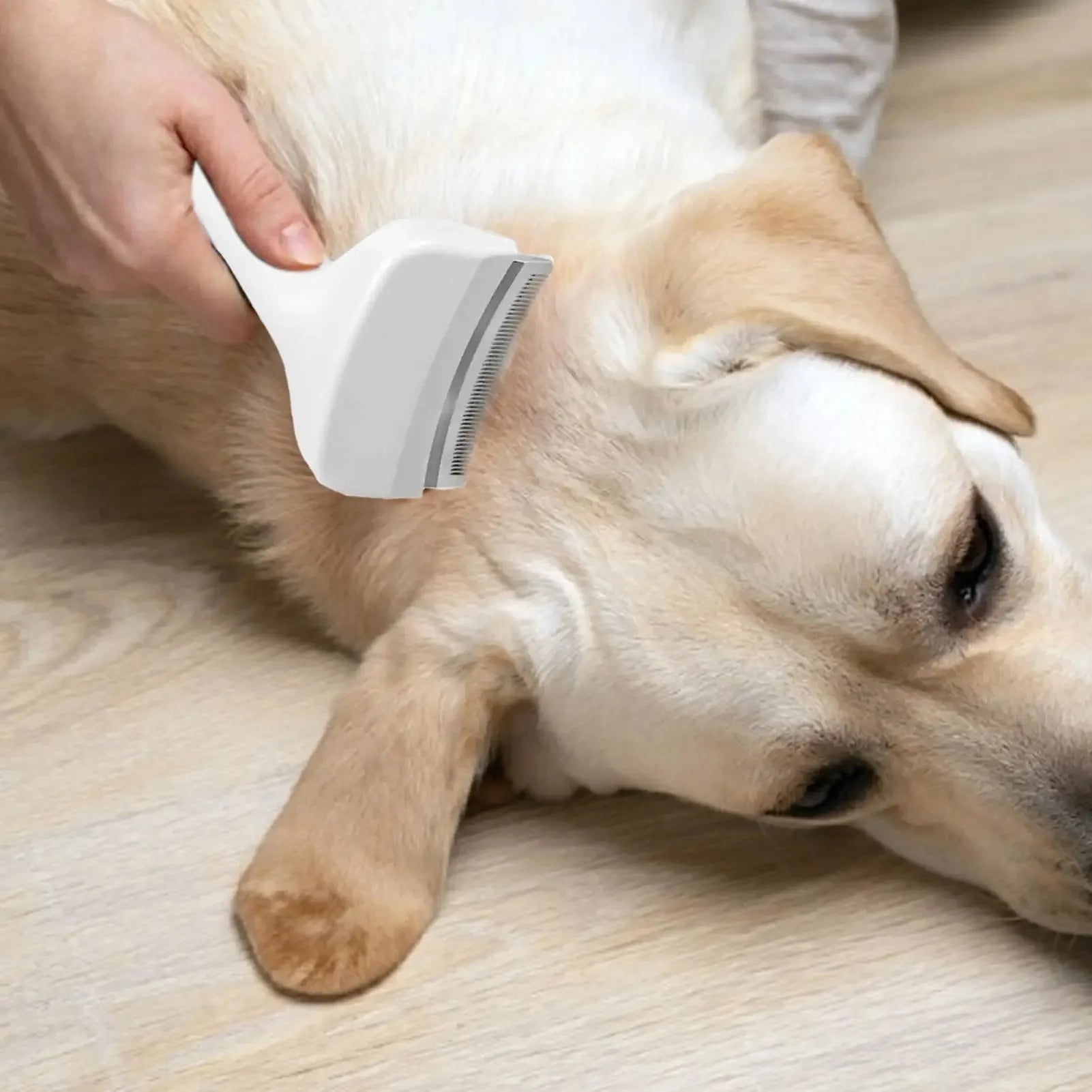 Slicker Brush For Dogs Undercoat Deshedding Tool For Dogs Cats Puppy Kitten Detangling Dematting Rake Shedding Tool For Oasis Select