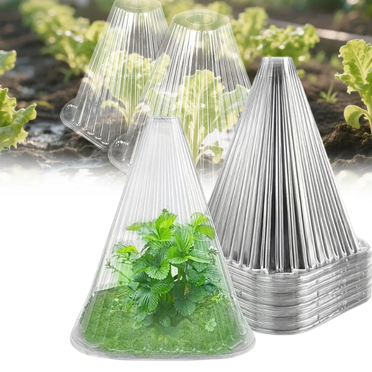 12/24pcs Reusable Plant Cloche Breathable Mini Greenhouse Cover Clear Frost Wind Guard Seedling Protector Garden Plant Shield Oasis Select