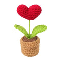 Red Heart Crochet Potted Plant | Handmade Yarn Flower Decor