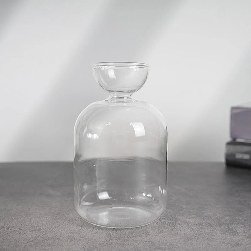 Avocado Seed Starter Vase Transparent Glass Vase Vase For Growing Plant Glass Seed Growing Kit For Gardening Lovers Oasis Select