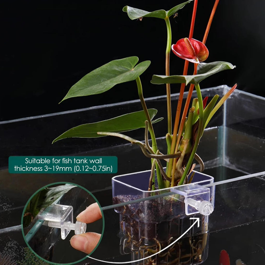 Aquarium Plant Holder Transparent Aquarium Decorations Plants Pot Aquatic Plants Holder Aquatic Plant Cup Fish Tank Planter Oasis Select